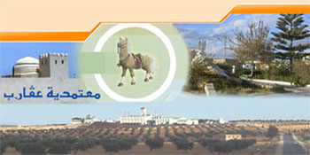 agereb